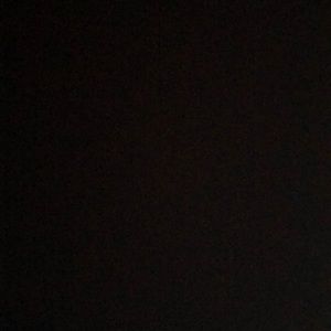 Meet your Posher, Ava